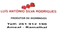 Logotipo de Luís António Silva Rodrigues