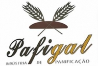 Logotipo de Pafigal II