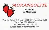 Logotipo de Morangoeste - Produção de Morangos, Lda
