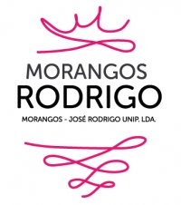 Logotipo de Morangos Rodrigo