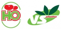Logotipo de VSPlantas, de Viveiros Silveira Prod. Com Plantas Horticolas, Lda