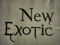 Logotipo de New Exotic Kids e New Exotic, de Carlos Alberto da Luz Inacio