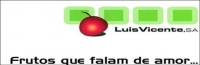 Logotipo de Luís Vicente, S.A.