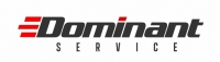 Logotipo de Dominant Service, Unipessoal Lda