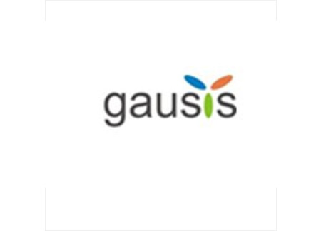 Logotipo de Gausis - Consultoria em Energia e Qualidade, Lda