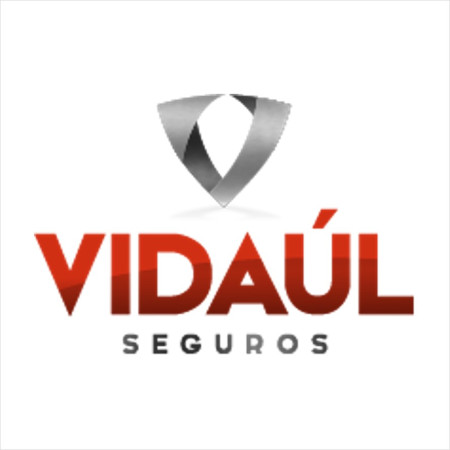 Logotipo de VIDAUL MEDIAÇÃO SEGUROS, LDA