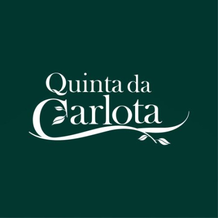 Logotipo de Mystic