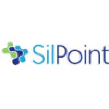 Logotipo de Silverpoint - Unipessoal Lda